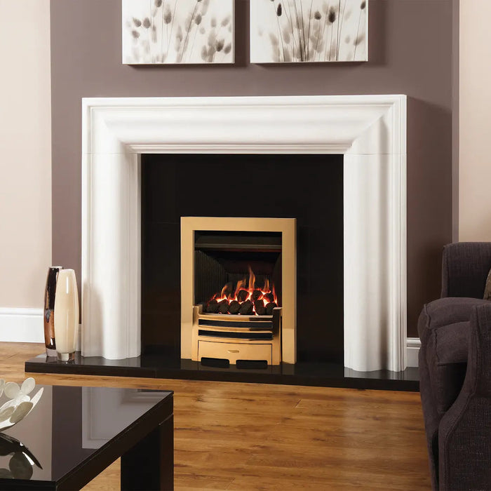 Logic HE Arts, Nat Gas, Balanced Flue, Coals