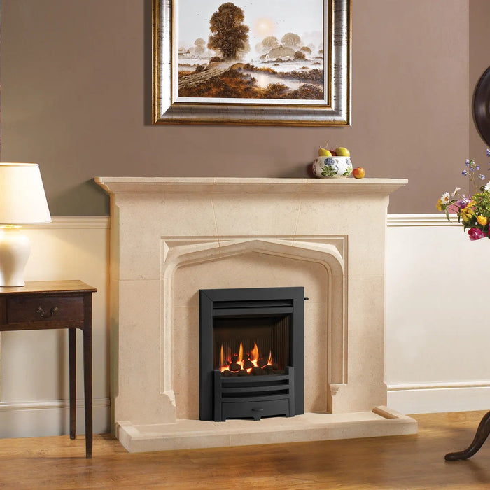 Logic HE Arts, Nat Gas, Balanced Flue, Coals